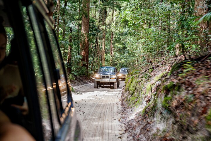Pippies 3 Day/2 Night K'gari (Fraser Island) Adventure