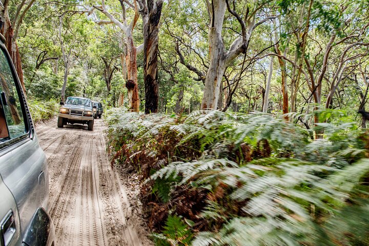 Pippies 3 Day/2 Night K'gari (Fraser Island) Adventure
