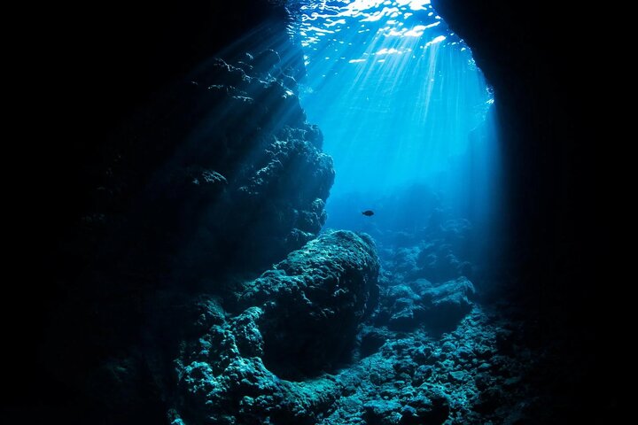 Diving experience on Ishigaki Island - including equipment rental - Shower available - Photo gift -