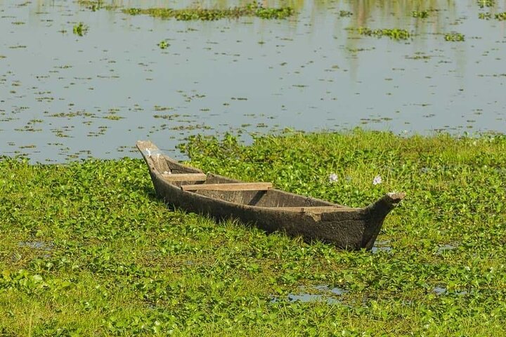 Private Assam Tea Estate, Rain Forest and River Island Tour