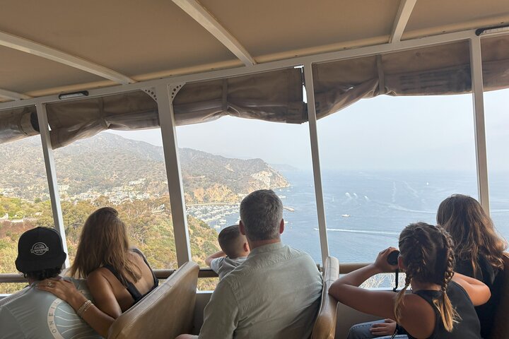 Catalina Island City and Scenic Mount Ada Tour