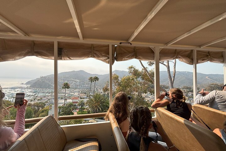 Catalina Island City and Scenic Mount Ada Tour