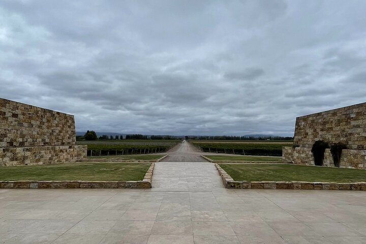 Guided Tour in Catena Zapata + lunch