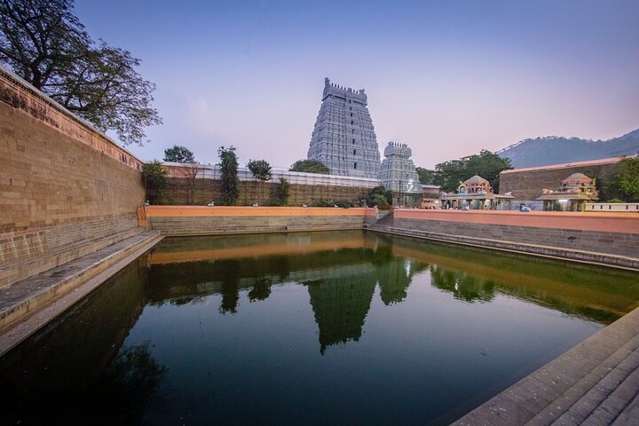 Hill of Enlightenment: A Day Trip from Trichy to Tiruvannamalai