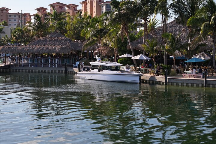 Half Day Private Tour to Islamorada Alligator Reef and Sandbar