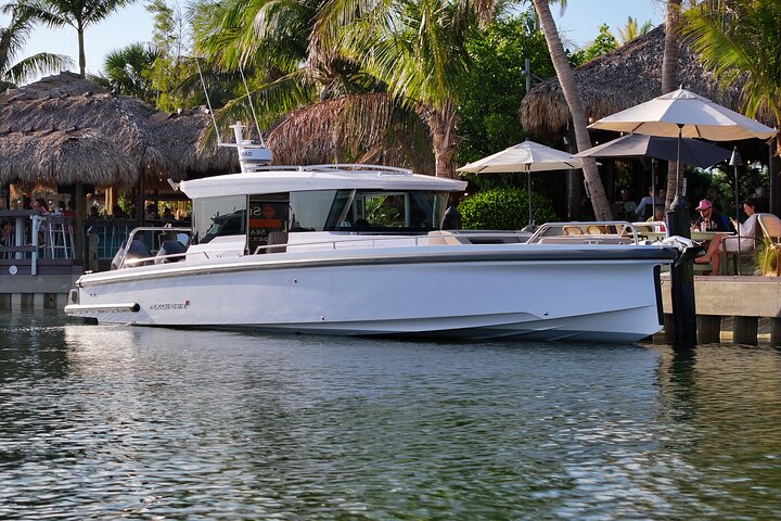 Half Day Private Tour to Islamorada Alligator Reef and Sandbar