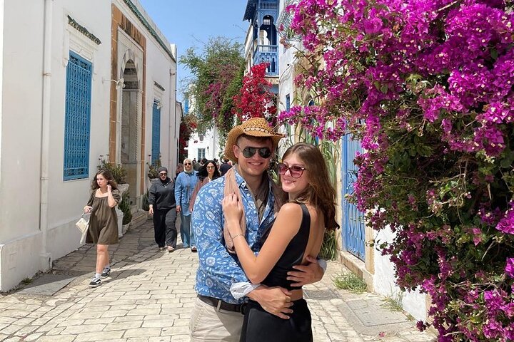 Private Day Trip: Carthage, Blue & White Sidi Bou Said & More