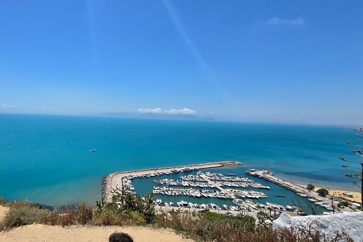 Private Day Trip: Carthage, Blue & White Sidi Bou Said & More