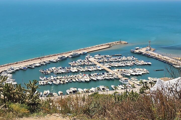 Private Day Trip: Carthage, Blue & White Sidi Bou Said & More