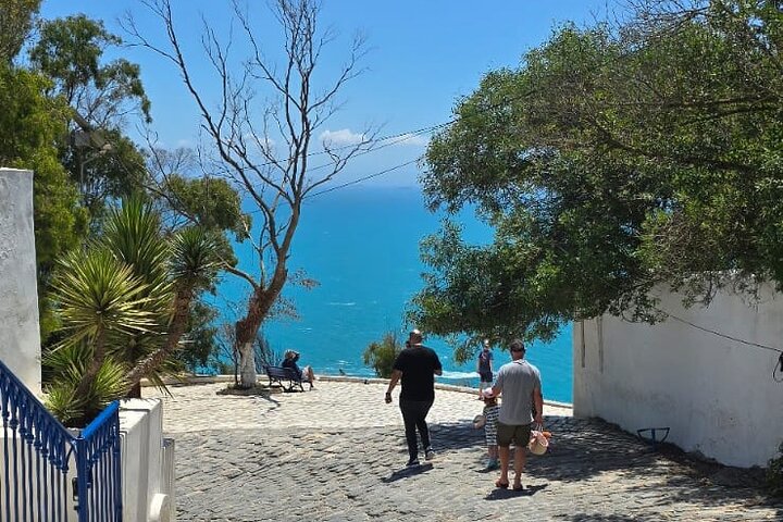 Private Day Trip: Carthage, Blue & White Sidi Bou Said & More