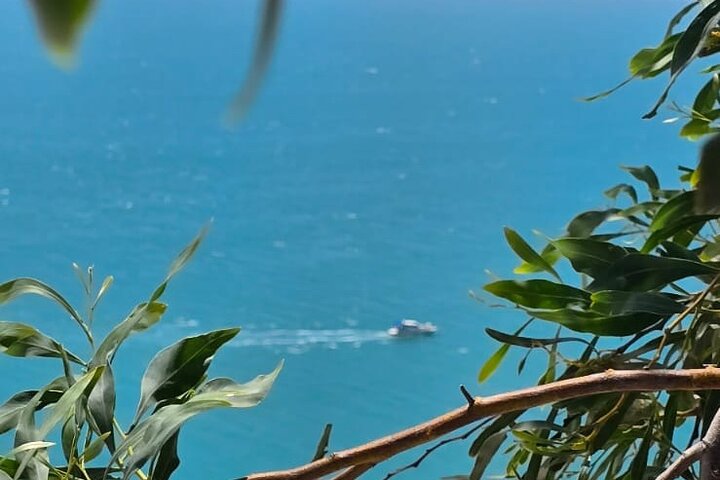 Private Day Trip: Carthage, Blue & White Sidi Bou Said & More