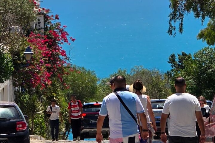 Private Day Trip: Carthage, Blue & White Sidi Bou Said & More