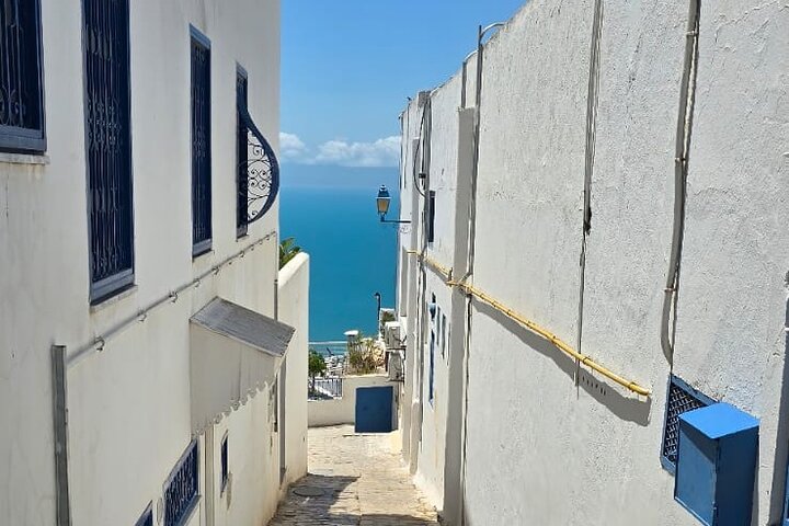 Private Day Trip: Carthage, Blue & White Sidi Bou Said & More