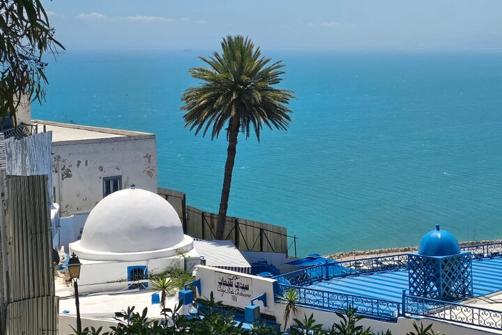 Private Day Trip: Carthage, Blue & White Sidi Bou Said & More