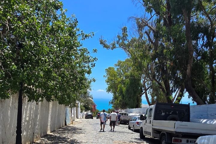 Private Day Trip: Carthage, Blue & White Sidi Bou Said & More