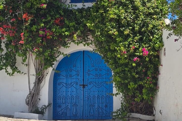 Private Day Trip: Carthage, Blue & White Sidi Bou Said & More