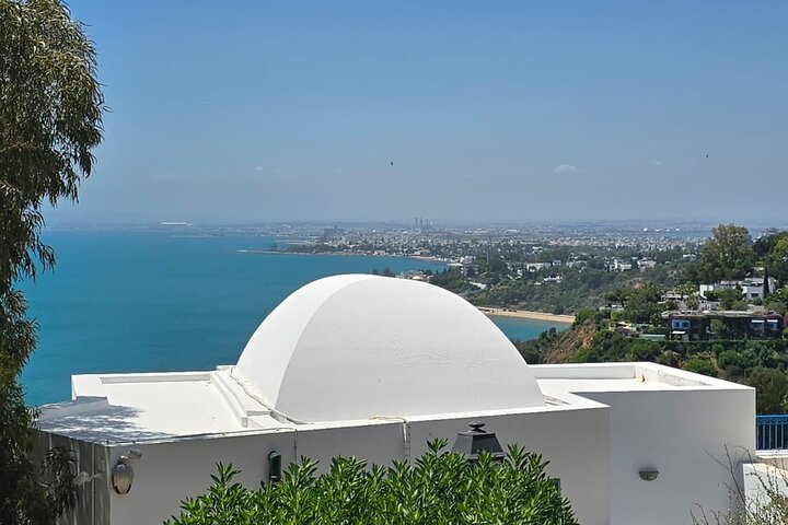 Private Day Trip: Carthage, Blue & White Sidi Bou Said & More