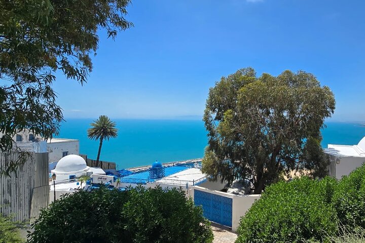 Private Day Trip: Carthage, Blue & White Sidi Bou Said & More
