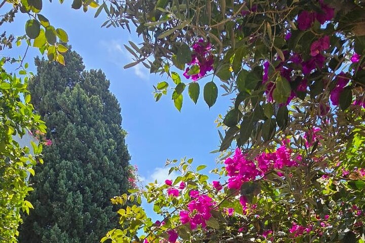 Private Day Trip: Carthage, Blue & White Sidi Bou Said & More