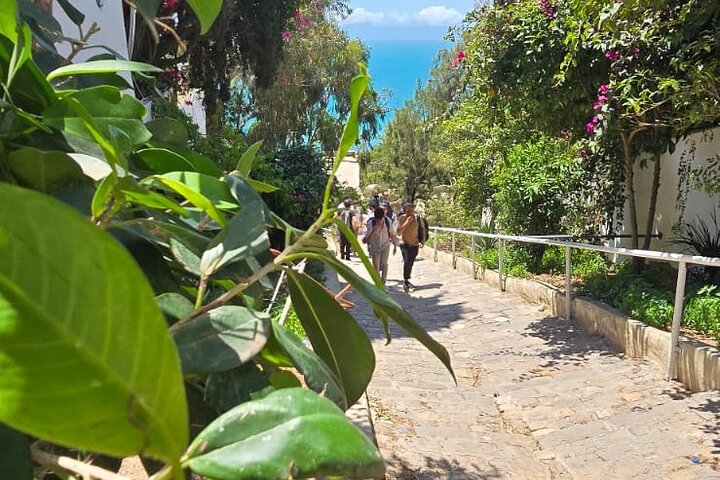 Private Day Trip: Carthage, Blue & White Sidi Bou Said & More