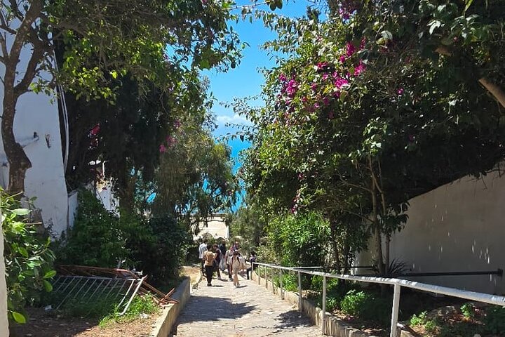 Private Day Trip: Carthage, Blue & White Sidi Bou Said & More
