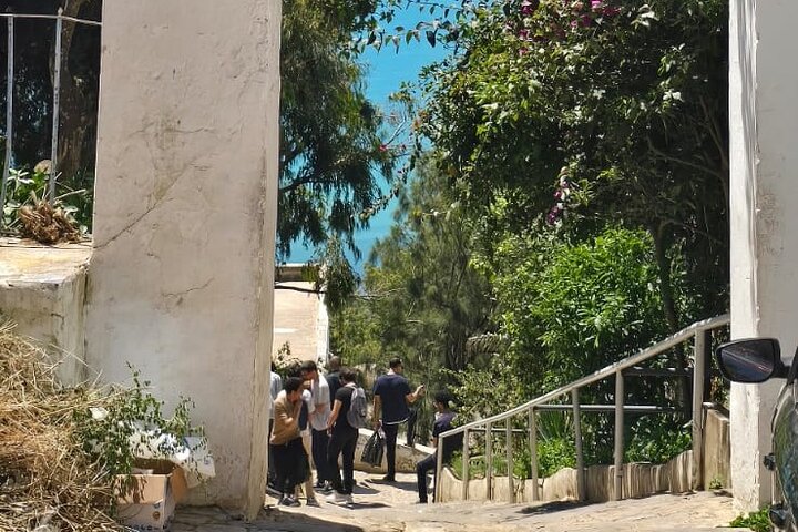 Private Day Trip: Carthage, Blue & White Sidi Bou Said & More