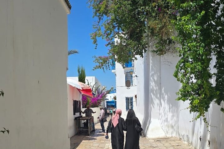 Private Day Trip: Carthage, Blue & White Sidi Bou Said & More