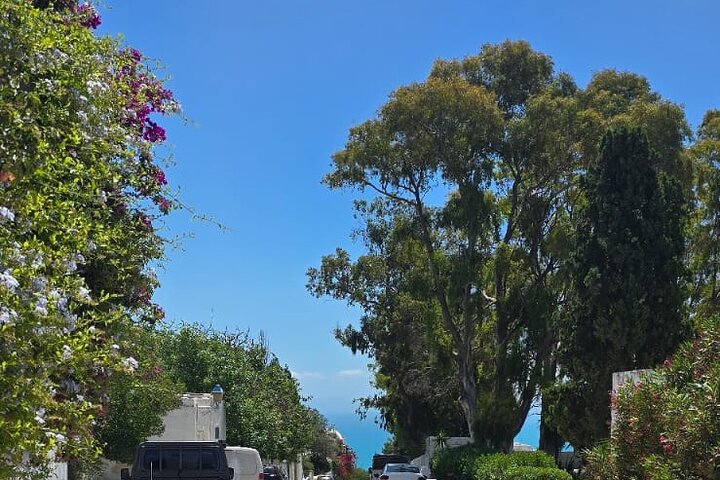 Private Day Trip: Carthage, Blue & White Sidi Bou Said & More
