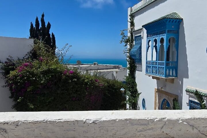 Private Day Trip: Carthage, Blue & White Sidi Bou Said & More