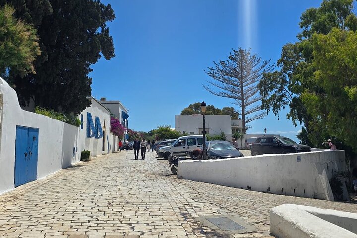 Private Day Trip: Carthage, Blue & White Sidi Bou Said & More