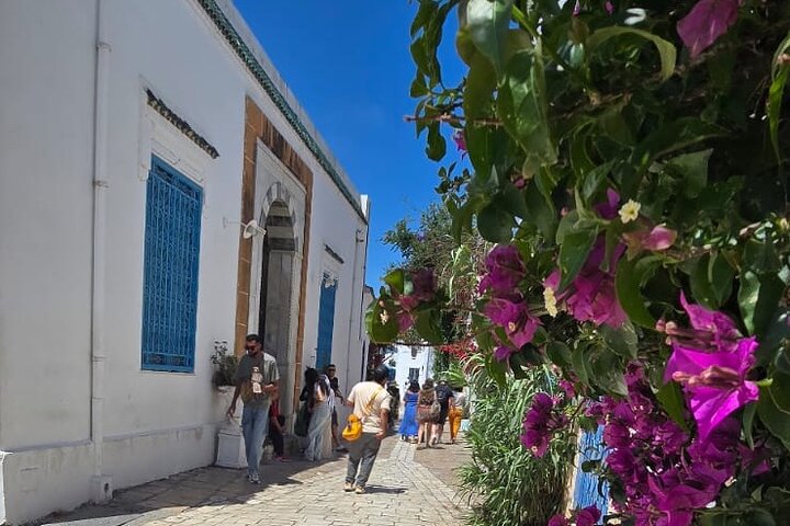Private Day Trip: Carthage, Blue & White Sidi Bou Said & More