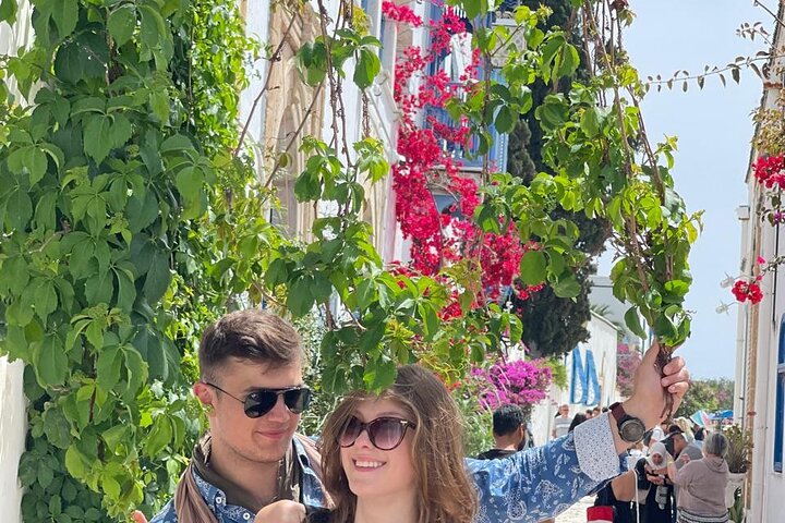 Private Day Trip: Carthage, Blue & White Sidi Bou Said & More