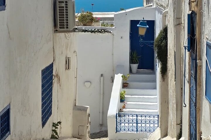 Private Day Trip: Carthage, Blue & White Sidi Bou Said & More