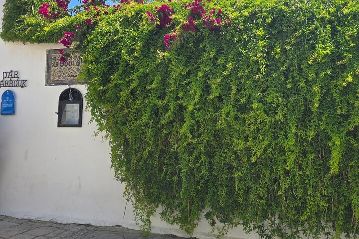 Private Day Trip: Carthage, Blue & White Sidi Bou Said & More