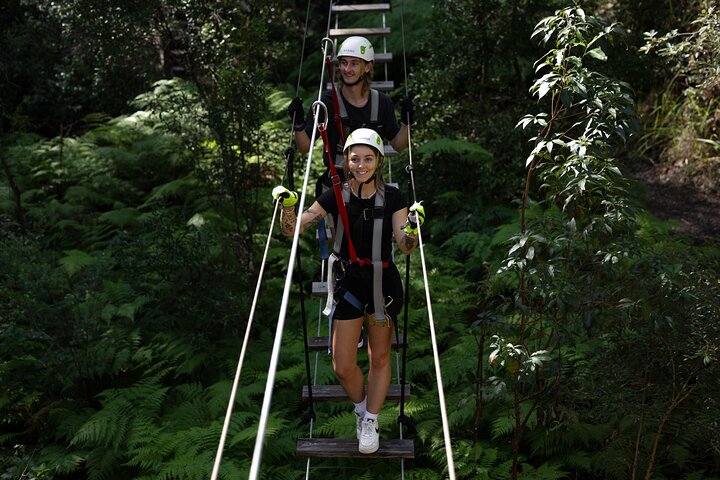 Tamborine Mountain High Ropes and Zipline Adventure Park