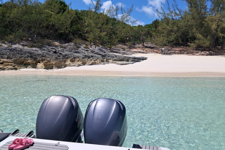 Private Nassau Rose Island Boat Tour Swimming Pigs, Turtles