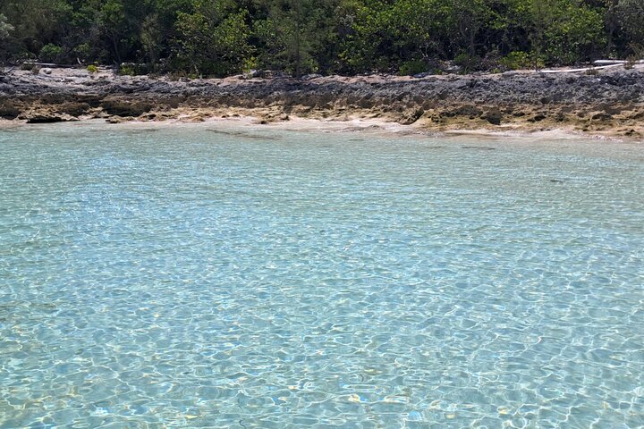 Private Nassau Rose Island Boat Tour Swimming Pigs, Turtles