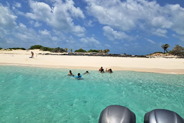Private Nassau Rose Island Boat Tour Swimming Pigs, Turtles