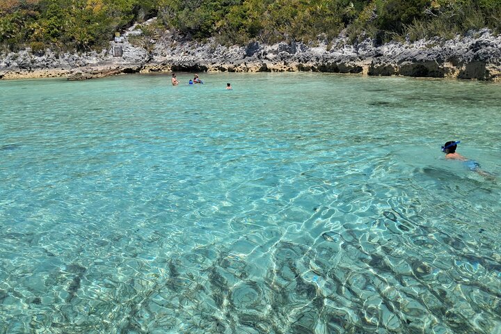 Private Nassau Rose Island Boat Tour Swimming Pigs, Turtles