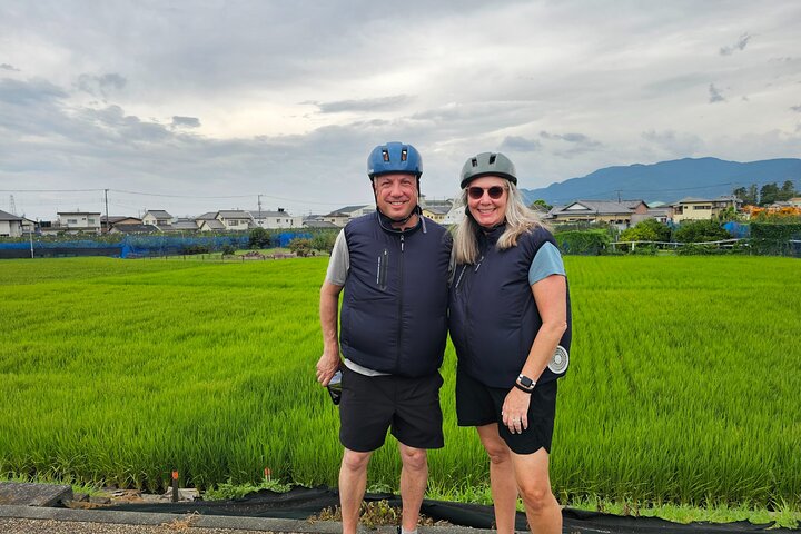 Mount Fuji Scenic EBike Tour for Cruise Travelers
