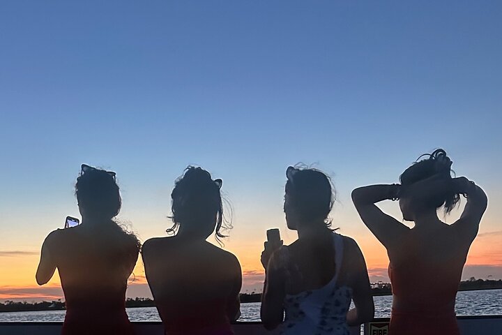 Charleston Harbor Sunset Cruise Scenic Views and Dolphin Spotting