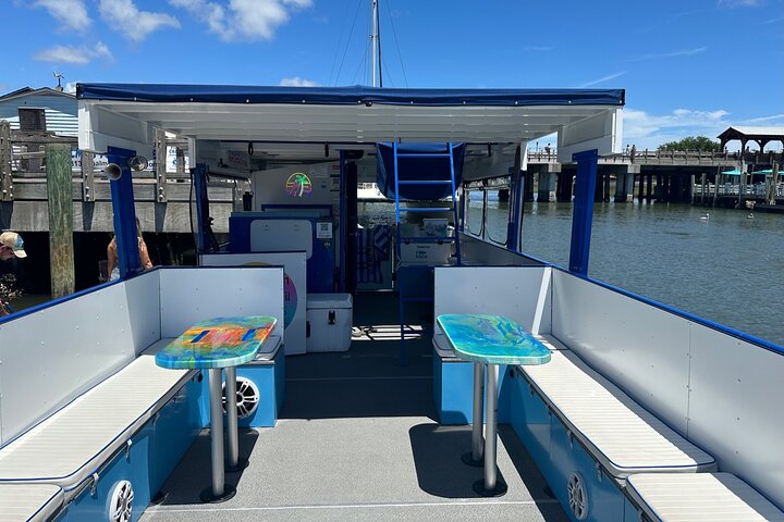 Charleston Harbor Sunset Cruise Scenic Views and Dolphin Spotting