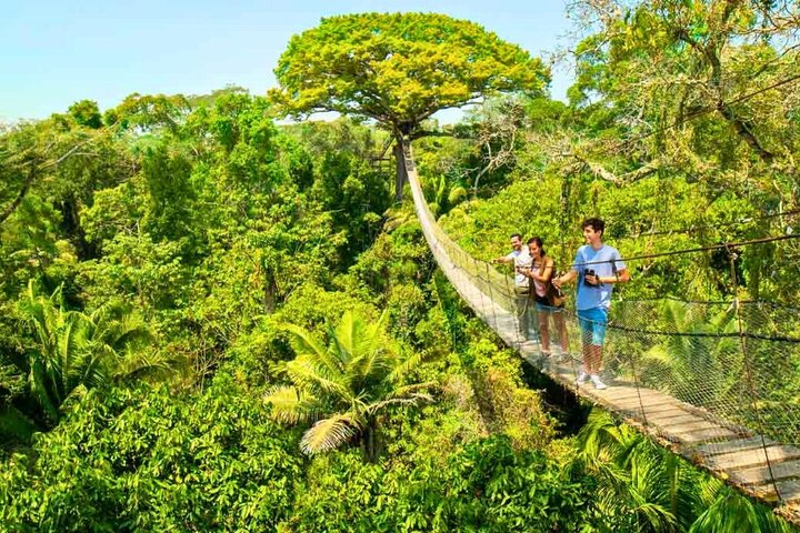 4 Day Tambopata Amazon Wildlife & Canopy Experience