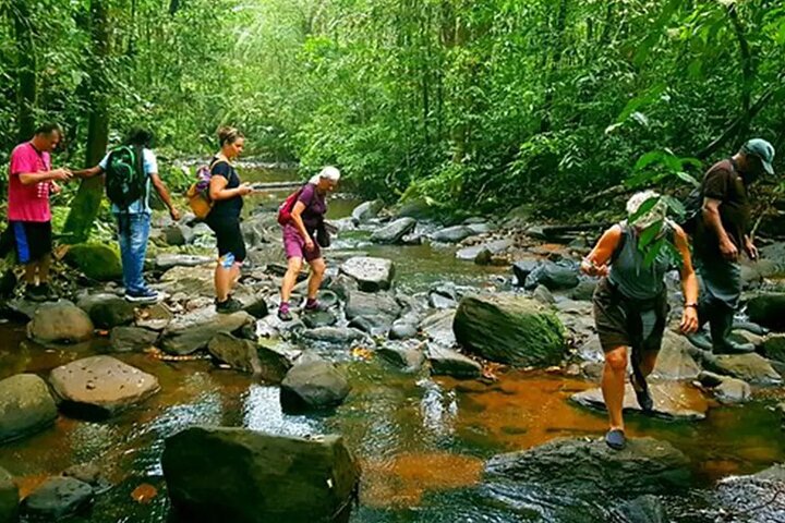 Sinharaja Rainforest Trekking Private Day Trip with Local Lunch