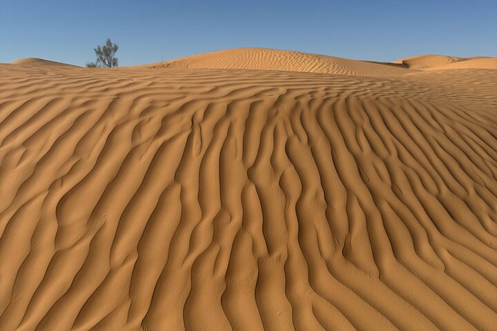 2 Days 1 Night in the Sahara 75km Private