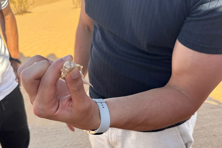 2 Days 1 Night in the Sahara 75km Private