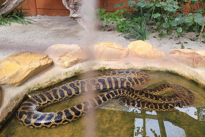 Explore Lawnwood Snake Sanctuary Ticket Tour