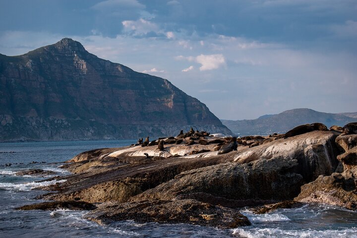 Cape of Good Hope and Boulders Penguins Day Tour from Cape Town