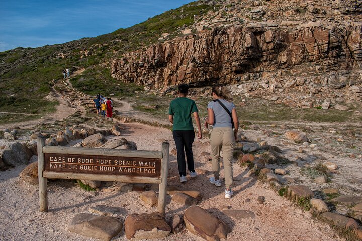 Cape of Good Hope and Boulders Penguins Day Tour from Cape Town