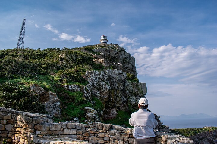 Cape of Good Hope and Boulders Penguins Day Tour from Cape Town